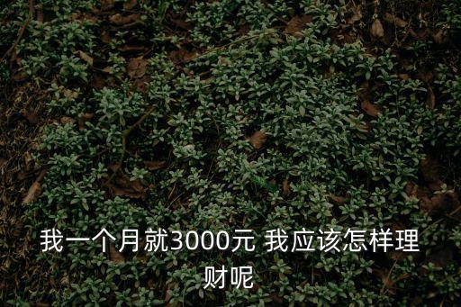 三千工資怎么理財，每月有三千余錢該怎么理財希望能夠現實點