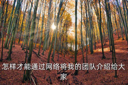 怎樣才能通過網(wǎng)絡(luò)將我的團隊介紹給大家