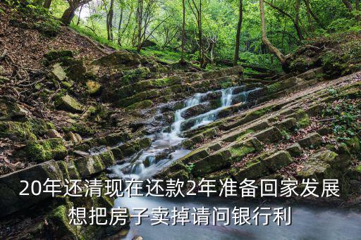 20年還清現(xiàn)在還款2年準(zhǔn)備回家發(fā)展想把房子賣掉請問銀行利