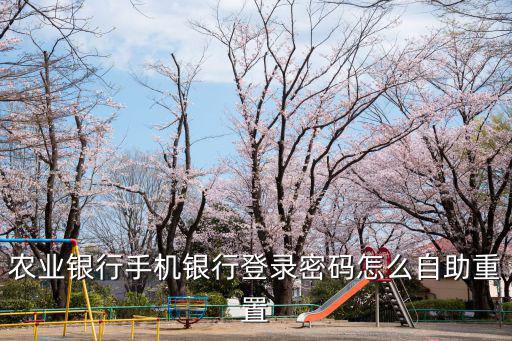 農(nóng)業(yè)銀行手機銀行登錄密碼怎么自助重置