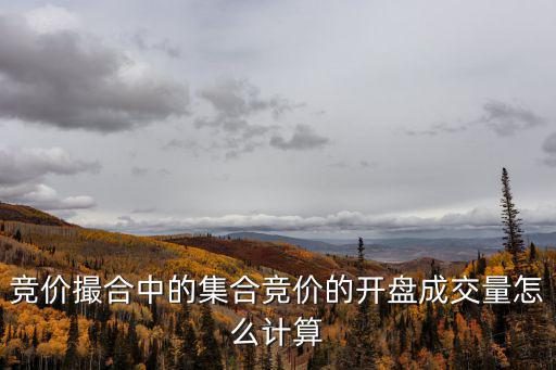 尾盤集合競價怎么成交量，集合競價到底怎么樣才能 成交