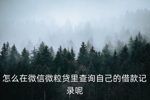 怎么在微信微粒貸里查詢自己的借款記錄呢