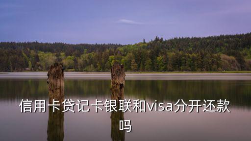 信用卡貸記卡銀聯(lián)和visa分開還款嗎