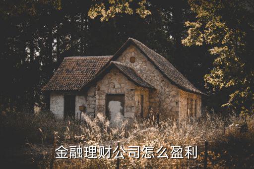 金融怎么賺錢的，金融行業(yè)是怎么賺錢的