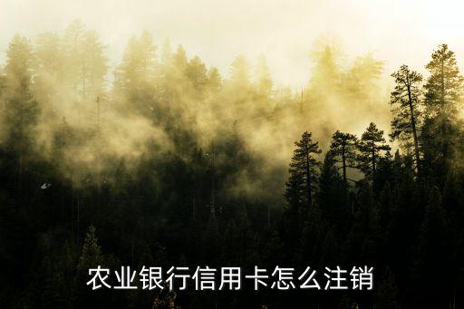 農(nóng)業(yè)銀行信用卡怎么注銷