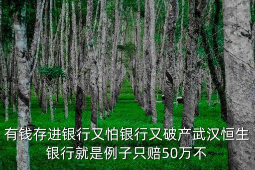 有錢(qián)存進(jìn)銀行又怕銀行又破產(chǎn)武漢恒生銀行就是例子只賠50萬(wàn)不