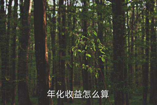 年化收益45怎么算，10000元年化收益率45是多少