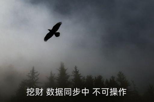 挖財(cái) 數(shù)據(jù)同步中 不可操作