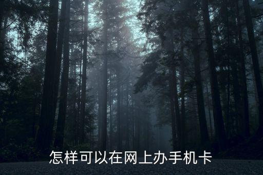 怎樣可以在網(wǎng)上辦手機(jī)卡