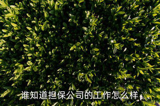 擔(dān)保抵押的工作怎么樣，誰(shuí)知道擔(dān)保公司的工作怎么樣