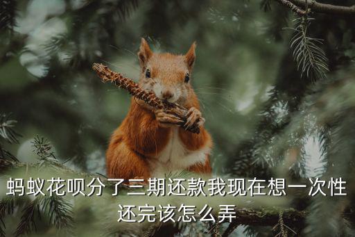 螞蟻花唄分了三期還款我現(xiàn)在想一次性還完該怎么弄