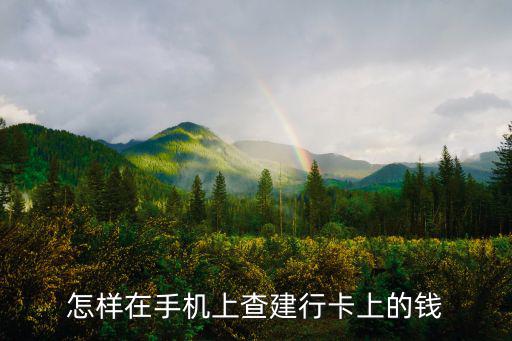 怎樣在手機(jī)上查建行卡上的錢(qián)
