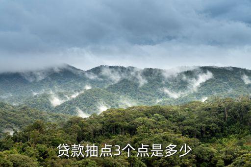 貸款抽點3個點是多少