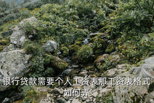 銀行貸款需要個人工資表那工資表格式如何弄