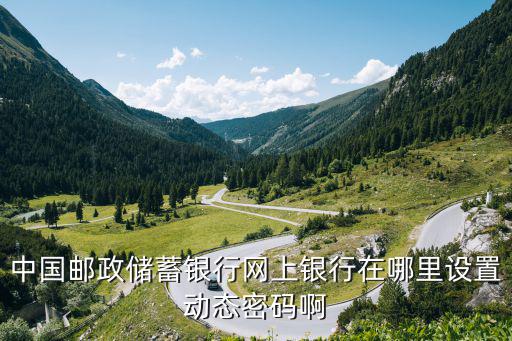 中國郵政儲蓄銀行網(wǎng)上銀行在哪里設(shè)置動態(tài)密碼啊