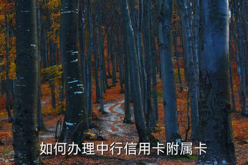 如何辦理中行信用卡附屬卡