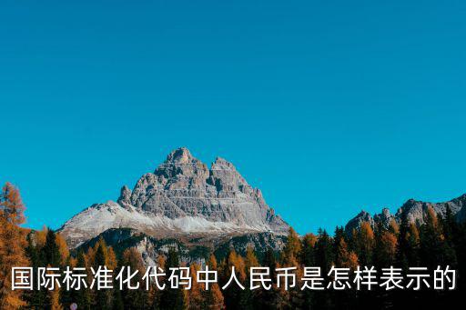 國際標準化代碼中人民幣是怎樣表示的