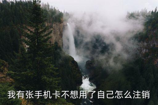 不用電話卡了怎么注銷，手機(jī)卡不用了怎么消掉啊