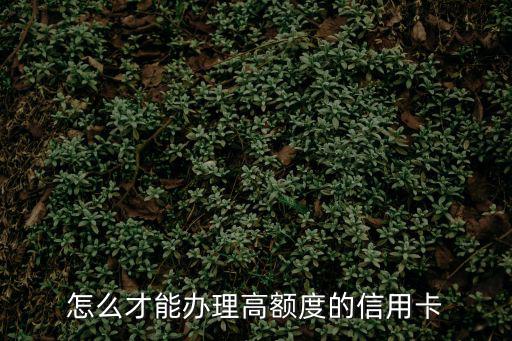 怎么才能辦理高額度的信用卡