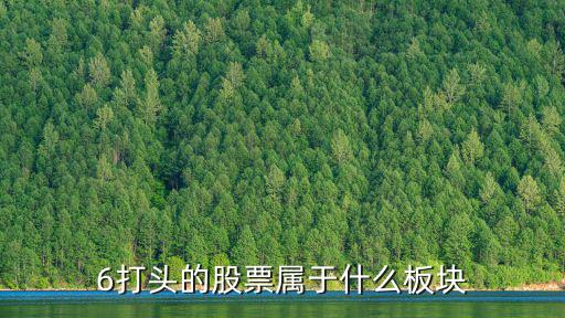 6打頭的股票屬于什么板塊