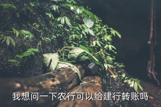 我想問一下農(nóng)行可以給建行轉(zhuǎn)賬嗎