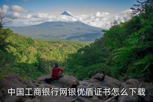 中國工商銀行網(wǎng)銀優(yōu)盾證書怎么下載