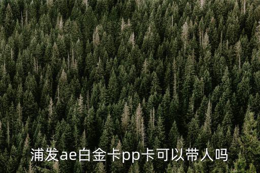 浦發(fā)ae白金卡pp卡可以帶人嗎