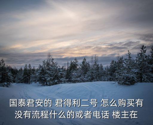 國(guó)泰君安的 君得利二號(hào) 怎么購(gòu)買(mǎi)有沒(méi)有流程什么的或者電話 樓主在