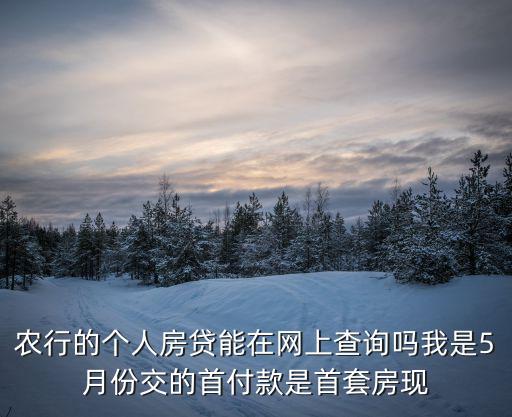 農(nóng)行的個(gè)人房貸能在網(wǎng)上查詢嗎我是5月份交的首付款是首套房現(xiàn)