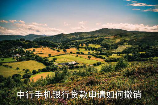 中行手機(jī)銀行貸款申請(qǐng)如何撤銷(xiāo)