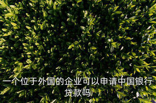 一個位于外國的企業(yè)可以申請中國銀行貸款嗎