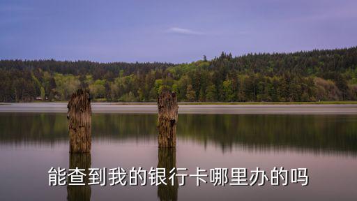 能查到我的銀行卡哪里辦的嗎