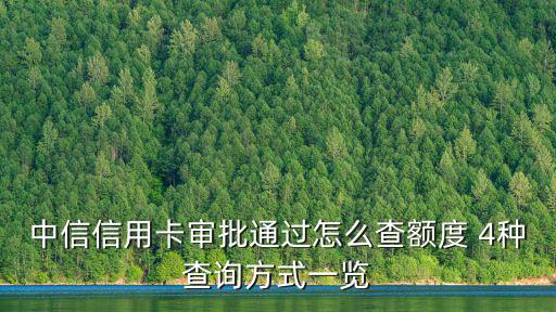 中信普卡額度怎么查，我的中信銀行信用卡申請成功了怎么查詢額度