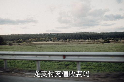 龍支付充值收費嗎