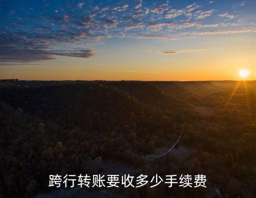 跨行轉(zhuǎn)賬要收多少手續(xù)費(fèi)