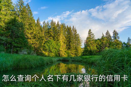 怎么查名下所有信用卡嗎，怎么查詢個人名下有幾家銀行的信用卡