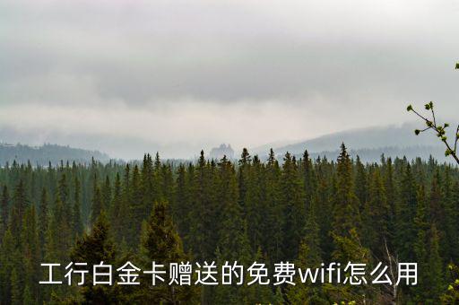 工行白金卡贈(zèng)送的免費(fèi)wifi怎么用