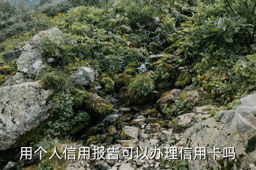 用個人信用報告可以辦理信用卡嗎