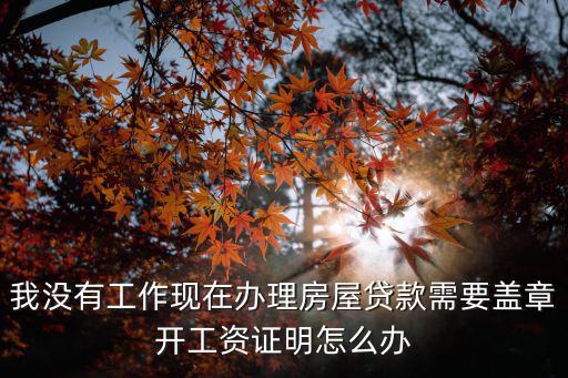 我沒有工作現(xiàn)在辦理房屋貸款需要蓋章開工資證明怎么辦