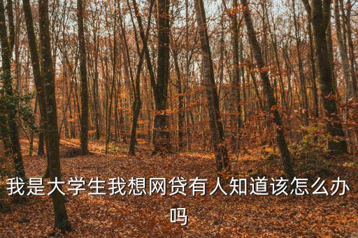 我是大學(xué)生我想網(wǎng)貸有人知道該怎么辦嗎