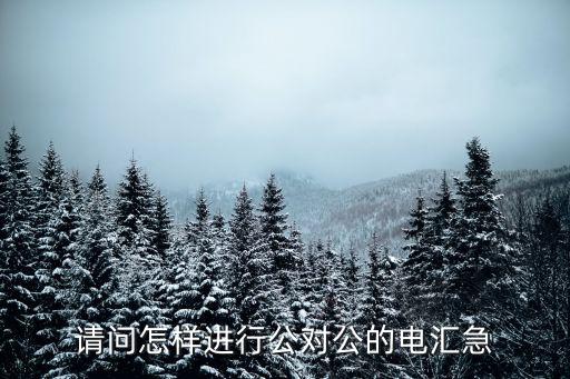 請問怎樣進行公對公的電匯急