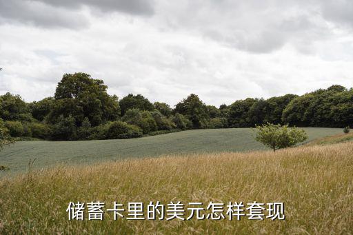 工行卡美金怎么取出來嗎，儲蓄卡里的美元怎樣套現(xiàn)