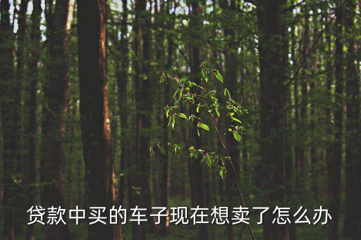 貸款中買的車子現(xiàn)在想賣了怎么辦