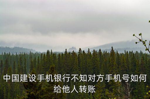 中國(guó)建設(shè)手機(jī)銀行不知對(duì)方手機(jī)號(hào)如何給他人轉(zhuǎn)賬
