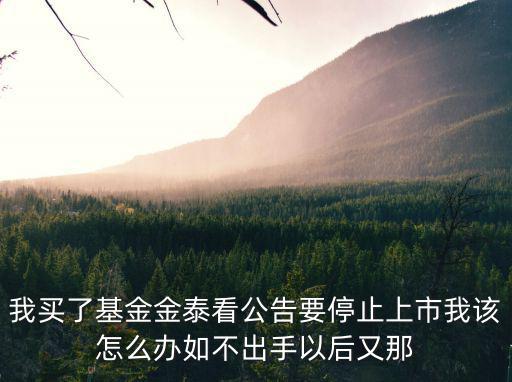 我買了基金金泰看公告要停止上市我該怎么辦如不出手以后又那