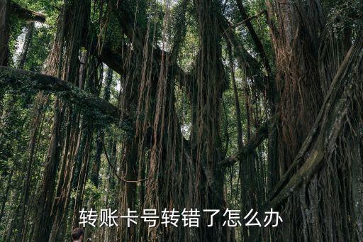 轉(zhuǎn)賬卡號(hào)錯(cuò)了怎么辦，轉(zhuǎn)賬卡號(hào)轉(zhuǎn)錯(cuò)了怎么辦