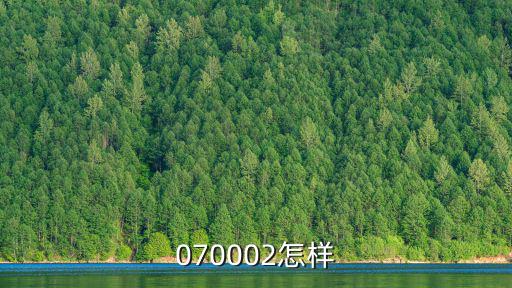嘉實增長070002怎么樣，070002嘉實增長這只基金怎么樣現(xiàn)在定投還會有收益嗎剛剛接