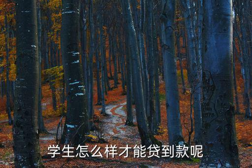 學(xué)生怎么樣才能貸到款呢