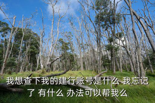 我想查下我的建行賬號是什么 我忘記了 有什么 辦法可以幫我么