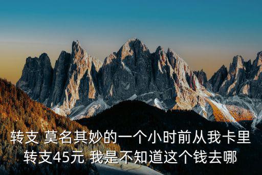 轉支人民幣怎么整的，轉支 莫名其妙的一個小時前從我卡里轉支45元 我是不知道這個錢去哪